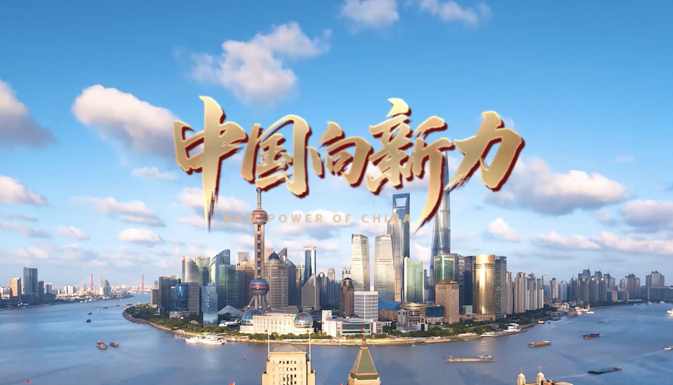 中国向新力